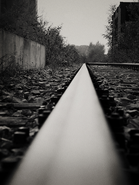 Straight 22ed9e94 f39d 4449 a2e0 f48afe886d1f