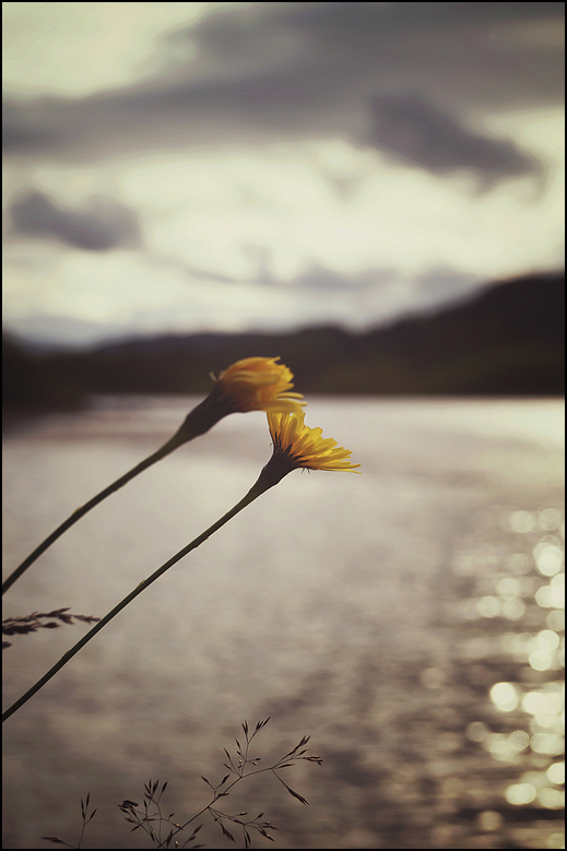 Dsc05213 s passig gemacht